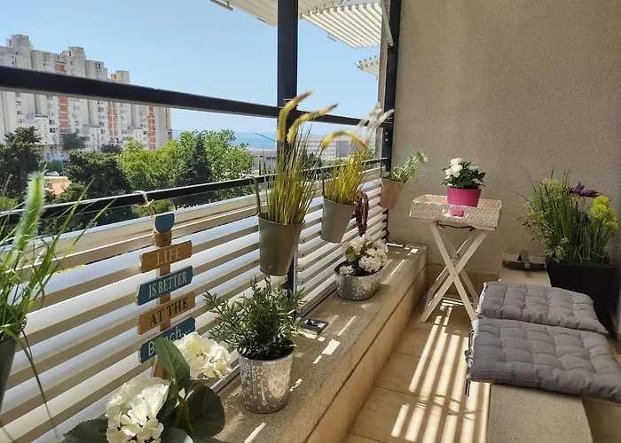 Top Apartment Sunny Day Split