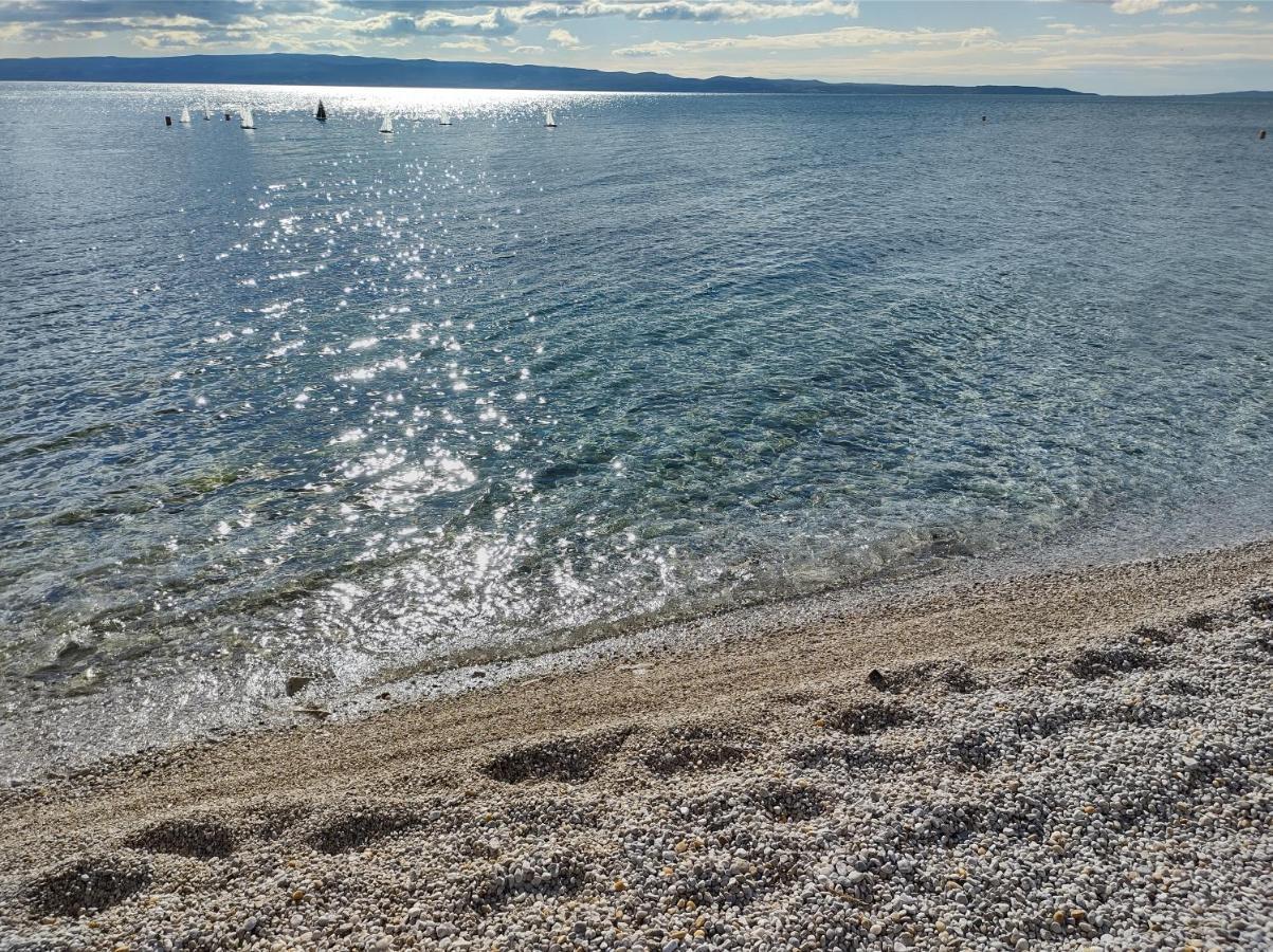 Sunny Day Split