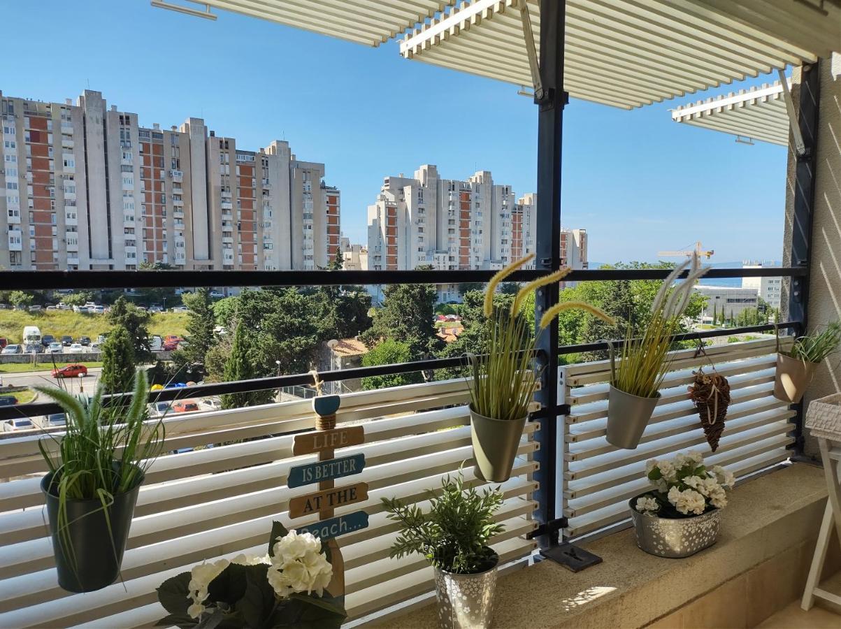 Sunny Day *