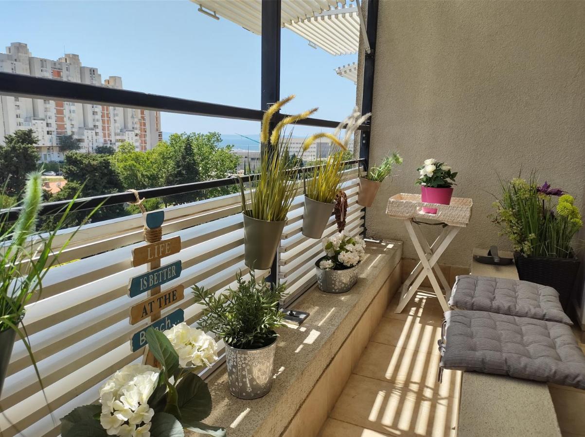 Apartment Sunny Day Split