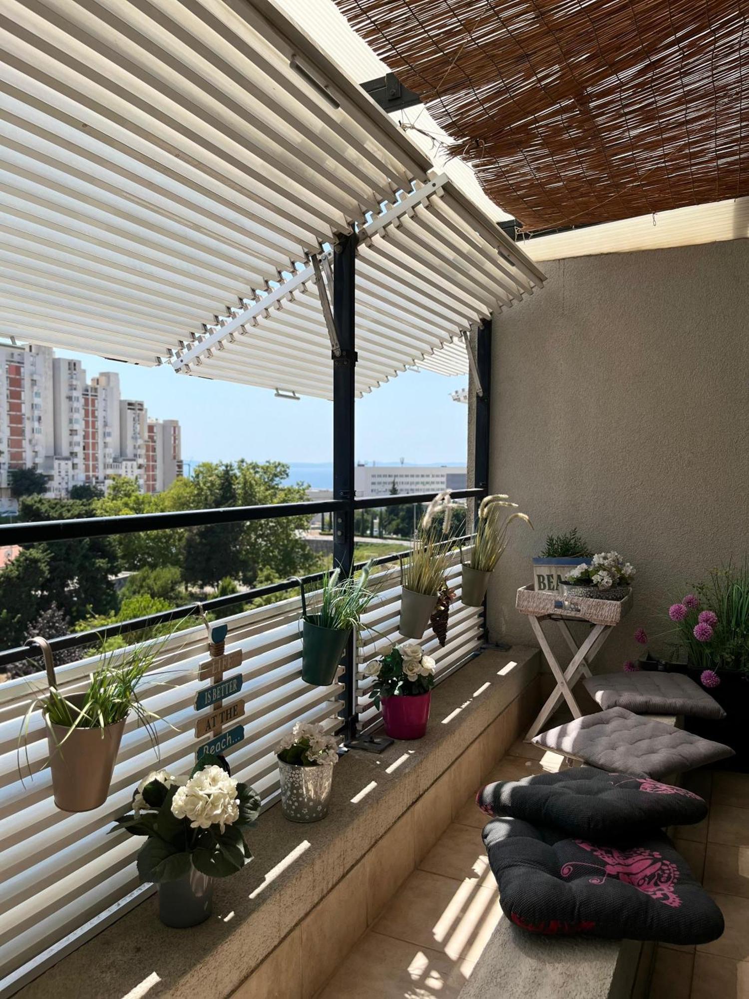 Sunny Day *