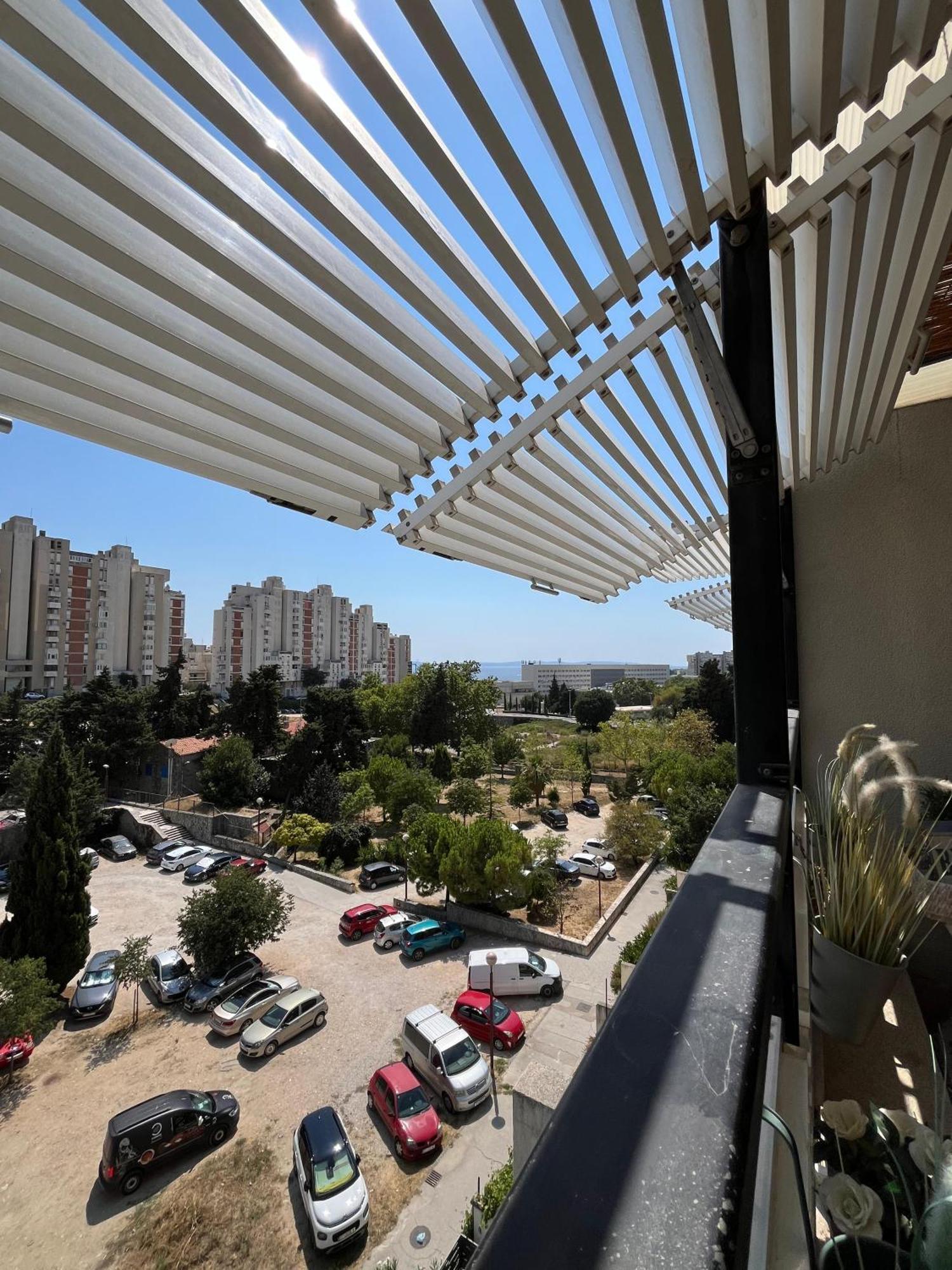 Sunny Day